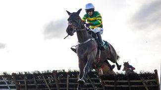 Galway: early Arkle fancy Hercule Du Seuil bids to continue rise up the chasing ranks