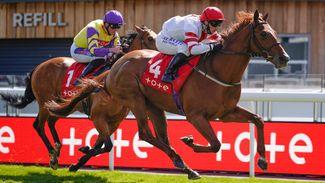 4.15 Thirsk: 'He's got a sound chance' - analysis and quotes for feature sprint race