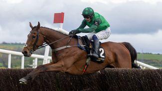Barberstown Castle Novice Chase: 'He's improving all the time' - El Fabiolo extends his perfect record over fences with ease