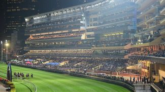 Threat of protests against pro-China owner forces Happy Valley to be cancelled