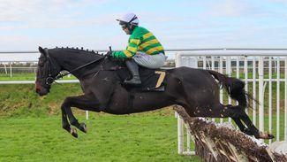 Which horse who ran on Saturday would you back at the Cheltenham Festival?