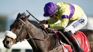 Graeme Rodway thinks Paul Nicholls has found a valuable edge for the Lanzarote