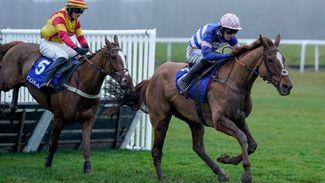 Who caught your eye at Newbury for the big spring novice hurdles? Our experts give their view