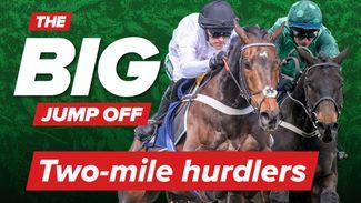 Mighty Constitution Hill has the world at his feet - but can anything stop him over hurdles?