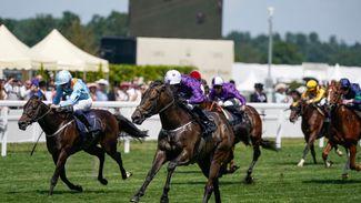 Breeders' Cup dream for 150-1 Valiant Force after 'breathtaking' success for ex-dairy farmer Adrian Murray
