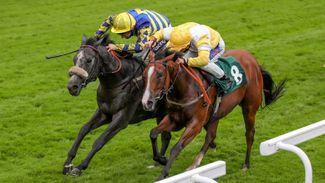 Shesadabber proves 66-1 course strike was no fluke with odds-on win