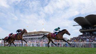 Above The Curve backed in opposition to Blue Rose Cen and Nashwa in Nassau Stakes - live updates
