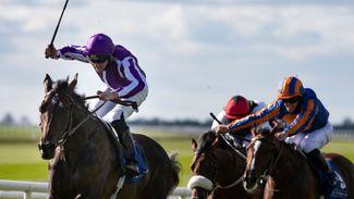 High Definition on the drift as support comes for Ballydoyle outsiders