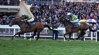 Don't let Cheltenham fool you - staggering bumper stats suggest worrying trend is only getting worse