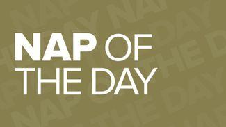Nap of the day: best horse racing tips for the day's three meetings