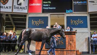 Zoustar filly sets an Inglis record of A$2.2 million, but for how long?