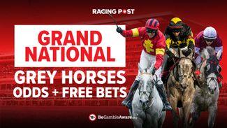 Grey Horses running in the Grand National 2024: Odds + £30 in Free Bets
