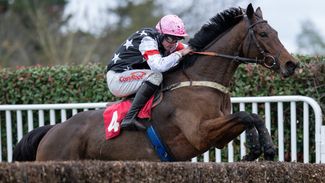 A good month for the yard? Only if Salver or Macktoad can do the business for us says Josh Moore