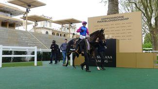 Longchamp: 'We always thought she'd take us to the top table' - Dare To Dream cut to 16-1 for Oaks after Group 3 success
