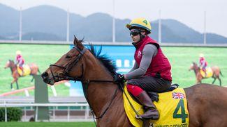 6.50am Sha Tin: 'His gallop on Monday was incredible' - who fancies their chances in the Hong Kong Sprint?