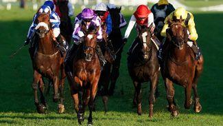 Retirement in doubt? Read why Champion Stakes winner Magical could race on