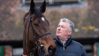 Paul Nicholls hails 'awesome' Stage Star as Cheltenham Festival and Paddy Power Gold Cup winner is retired