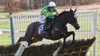 Who are the two British-trained favourites left at Cheltenham next week?
