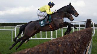Expert jury: who are you taking out of the Dublin Racing Festival and can Marine Nationale still win the Arkle?
