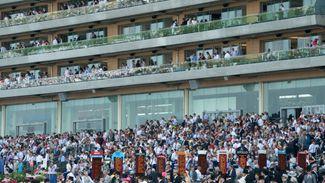 Smaller crowd than usual but over 14,000 expected at Ascot for King George day