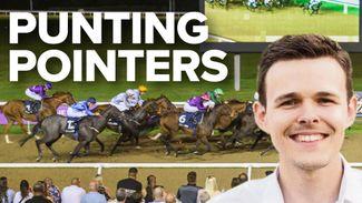 Wolverhampton punting pointers: speed is more important than stamina and position is everything