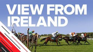 'He has a good opportunity' - Alan Sweetman with two selections on Navan's card