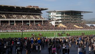 Why so many restrictions? It's time for racecourses to ditch enclosures and give punters more freedom