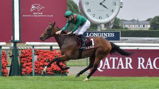 Aga Khan team to run full battery of tests on disappointing Vadeni after Curragh setback