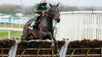 Inthepocket back in training and might make surprise appearance at the Cheltenham Festival