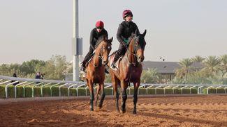 4.10 Riyadh: 'Next year Luxembourg could end up in the Saudi Cup' - Aidan O'Brien opts for Neom Cup over feature race