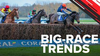 Big-race trends: key stats to help you find the Coral Gold Cup winner
