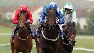 Graeme Rodway assesses who will enjoy quick ground on the Knavesmire