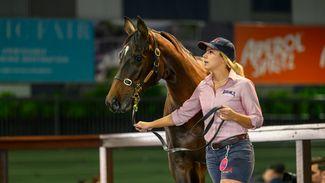 'Outstanding' A$450,000 Zoustar filly tops trade at the Magic Millions National Sale