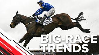 Big-race trends: key stats to help you find the Champion Chase winner