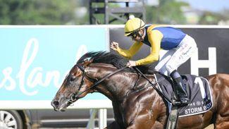 Coolmore hold off three challengers for A$50m stake in Golden Slipper favourite