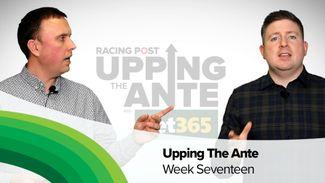 Upping The Ante | Cheltenham Festival 2020 Preview | Episode 17