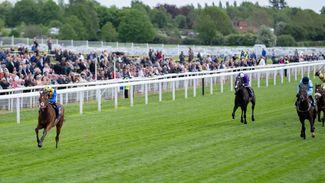 What's on this week: Dante meeting the perfect warm-up before star-studded Lockinge at Newbury