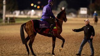 Freddy Head: the Breeders' Cup have treated me with utter disdain
