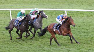Naas: Aidan O'Brien up and running after Paddington enters Classic picture with Madrid success
