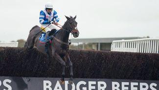 What's on this week: more Cheltenham clues on offer while Frodon could star in Kempton's Coral Trophy