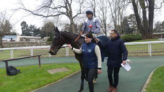 Exciting chasing prospect Il Est Francais could get first assignment in Britain before the end of the year