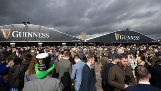 Less than seven weeks to go and it's time to take the Cheltenham punting seriously (which sadly means avoiding the pub)