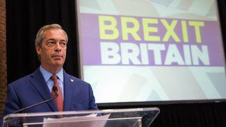 Brexit Party cut for General Election | Politics betting news and odds