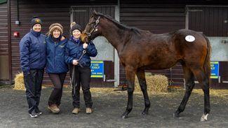 ‘Nice horses don’t come cheap’ - colts by Walk In The Park and Vadamos top stormy Doncaster January Sale