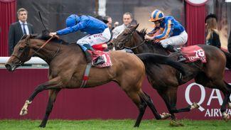 Charlie Appleby bullish as Wild Illusion tackles Filly & Mare Turf
