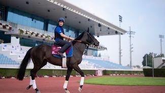 Qatar: 'He’s taken to the track well and we’re very happy' - British and Irish raiders primed to battle it out