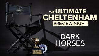 'I could see him being a big, big player' - our Ultimate Cheltenham Preview panellists with their dark horses