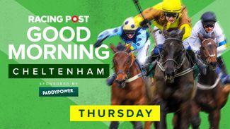Watch: day three festival preview show live from Cheltenham