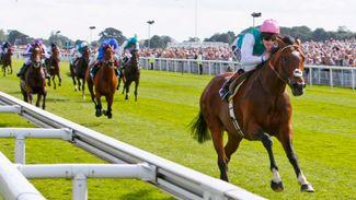 People's Champion vote underlines issues facing Flat racing - and only Frankel can stop the rot