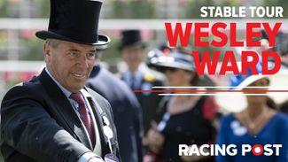 'He stacks right up there with No Nay Never' - Wesley Ward runs through his team for Royal Ascot
